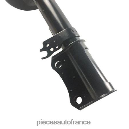 Accessoires Auto France H4NL36 amortisseur pour arrière 333107 TOYOTA