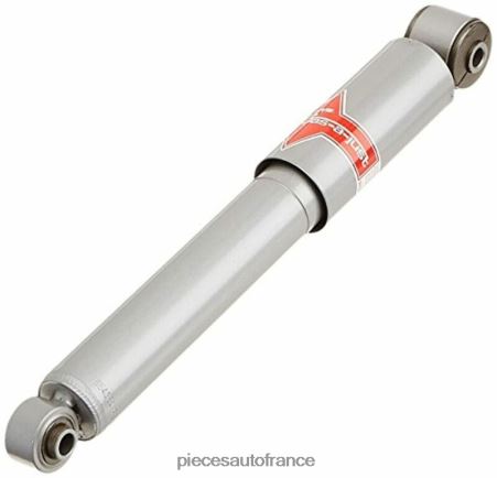 Pieces Auto France H4NL71 amortisseur pour arrière 554384 HYUNDAI