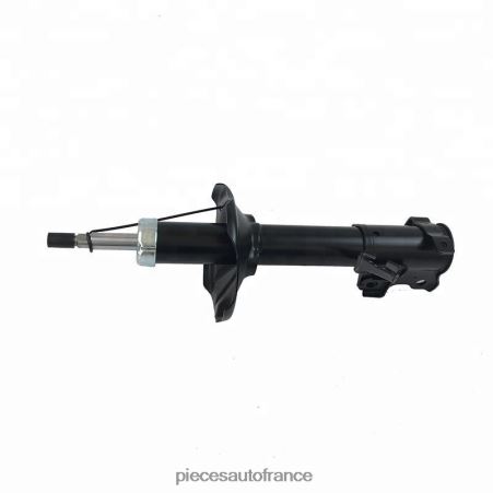 Accessoires Auto France H4NL46 amortisseur pour avant 332063 NISSAN