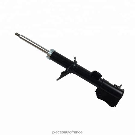 Accessoires Auto France H4NL66 amortisseur pour avant 24542729 CHEVROLET