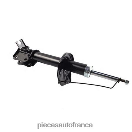 Accessoires Auto France H4NL66 amortisseur pour avant 24542729 CHEVROLET