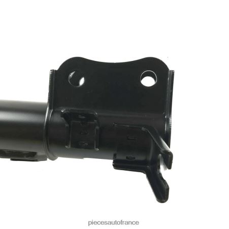 Accessoires Auto France H4NL66 amortisseur pour avant 24542729 CHEVROLET