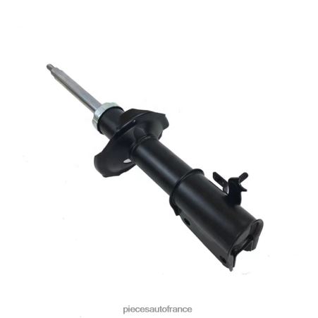 Accessoires Auto France H4NL76 amortisseur pour avant 339021 ZOTYE