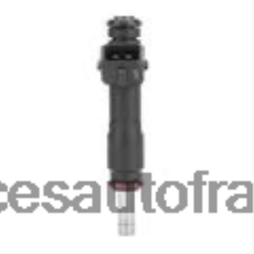 Pieces Auto France En Ligne 25185231 injecteur de carburant T80F2D133 CHEROLET&GM