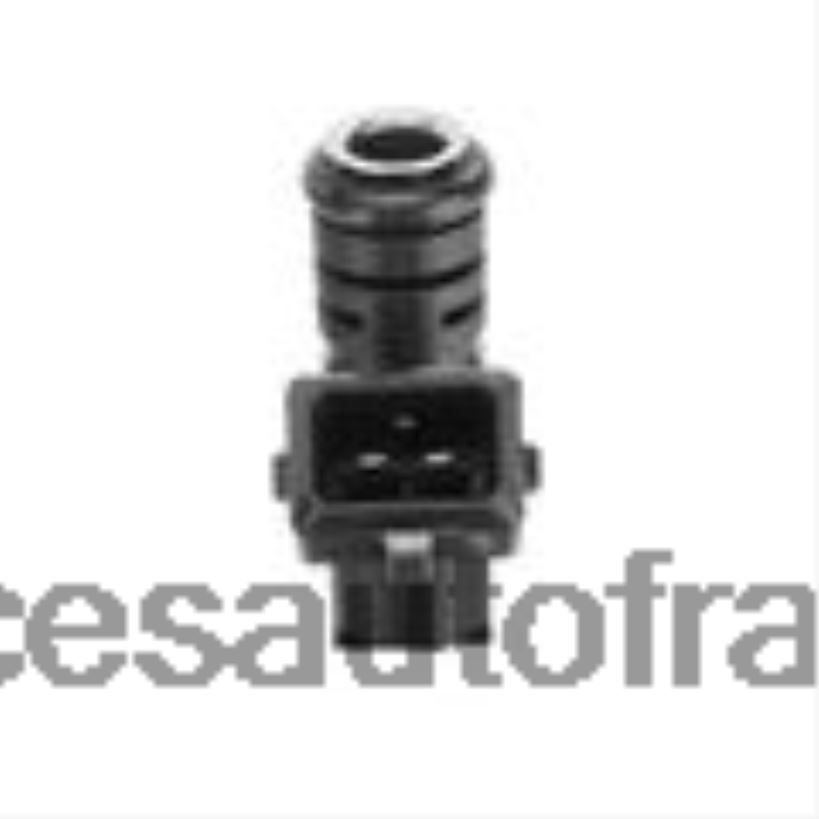 Pieces Auto France En Ligne 25185231 injecteur de carburant T80F2D133 CHEROLET&GM