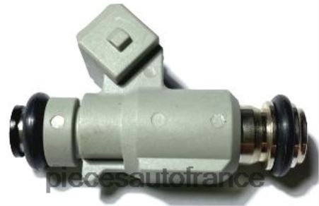 Accessoires Auto France H4NL2116 injecteur de carburant 94705391 GM