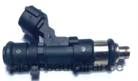 Accessoires Auto France H4NL1896 injecteur de carburant 0280158042 16600cd700 16600cd701