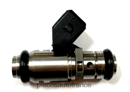 Accessoires Auto France H4NL2276 injecteur de carburant iwp001