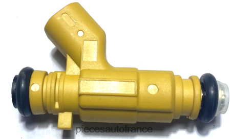 Pieces Auto En Gros H4NL2017 injecteur de carburant 12581682