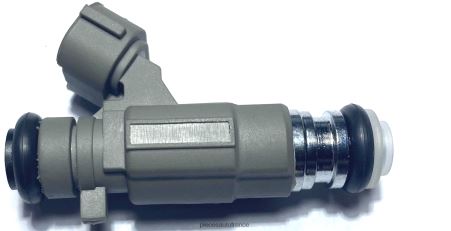 Pieces Auto France H4NL1901 injecteur de carburant 166005l700