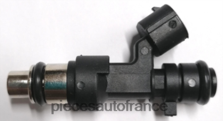 Accessoires Auto France H4NL1886 injecteur de carburant 166009hp0a NISSAN