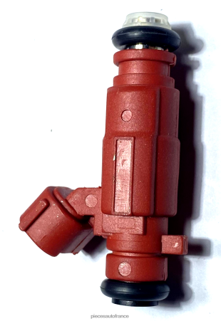 Pieces Moto France H4NL1892 injecteur de carburant 166005m100 NISSAN