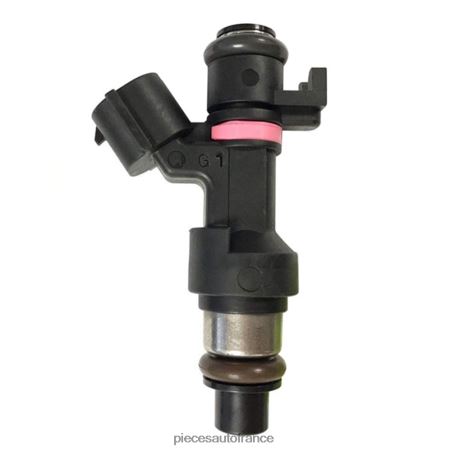 Accessoires Moto France H4NL95 166006863r injecteur de carburant RENAULT