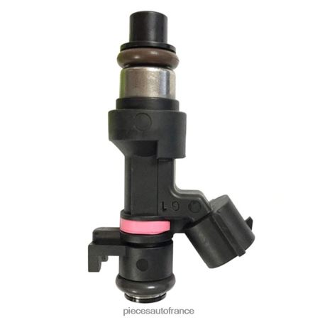 Accessoires Moto France H4NL95 166006863r injecteur de carburant RENAULT