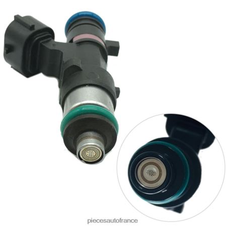 Accessoires Moto France H4NL95 166006863r injecteur de carburant RENAULT