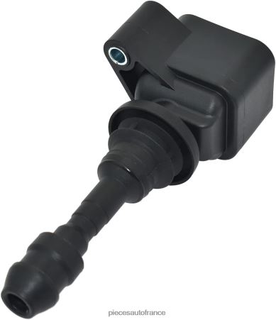 Accessoires Auto France H4NL506 bras de renvoi pw-812018 PROTON