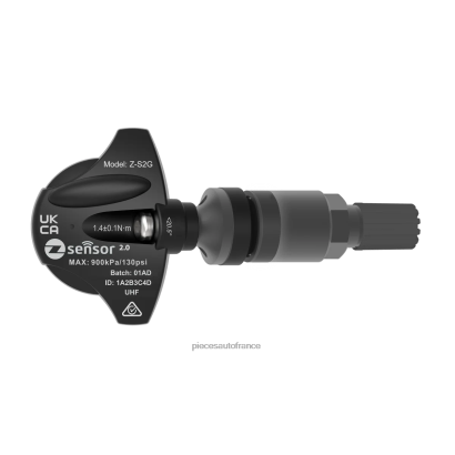 Capteur TPMS de remplacement Holden OE - OE P/N 95712232, 13598773 fréquence 433 MHz Pieces Auto France En Ligne VB6Z1391 tige de valve en métal - gris foncé